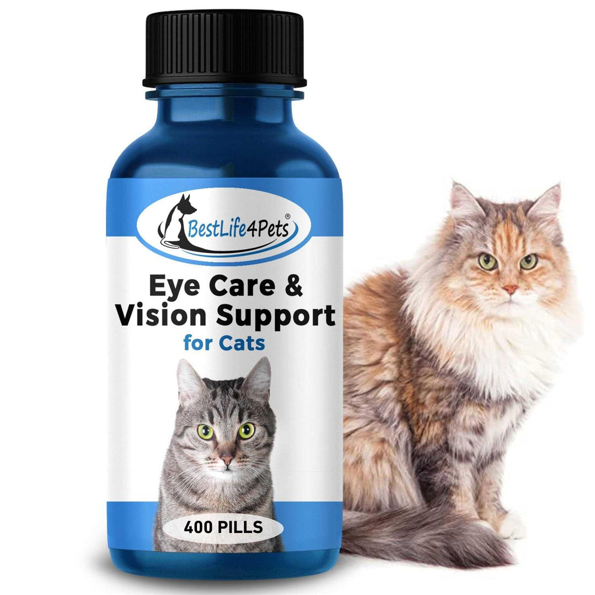 Eye Care and Vision Support for Cats N820