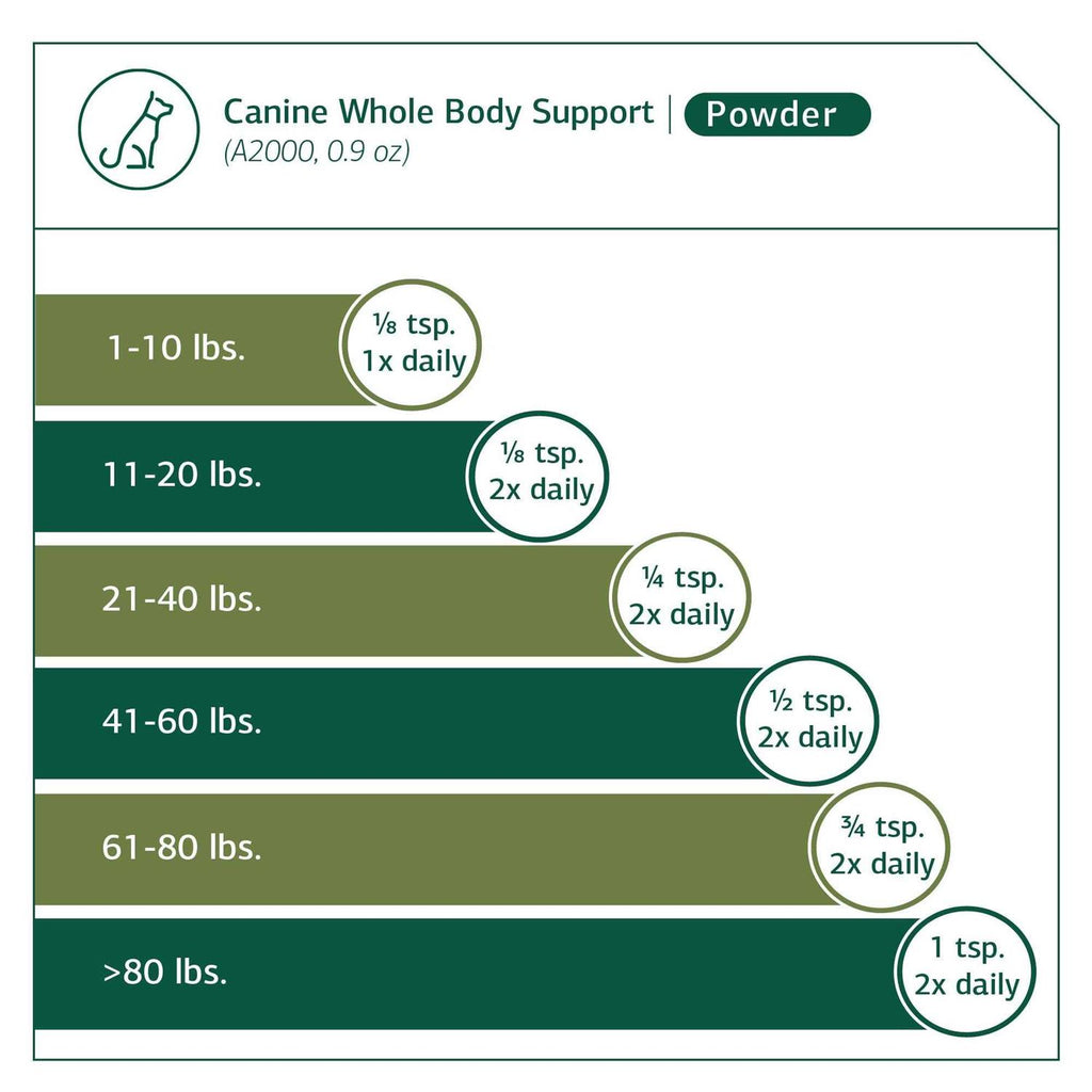 Canine Whole Body Support Y335