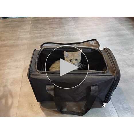 Black 2In 1 Foldable Cat Litter Box A8071