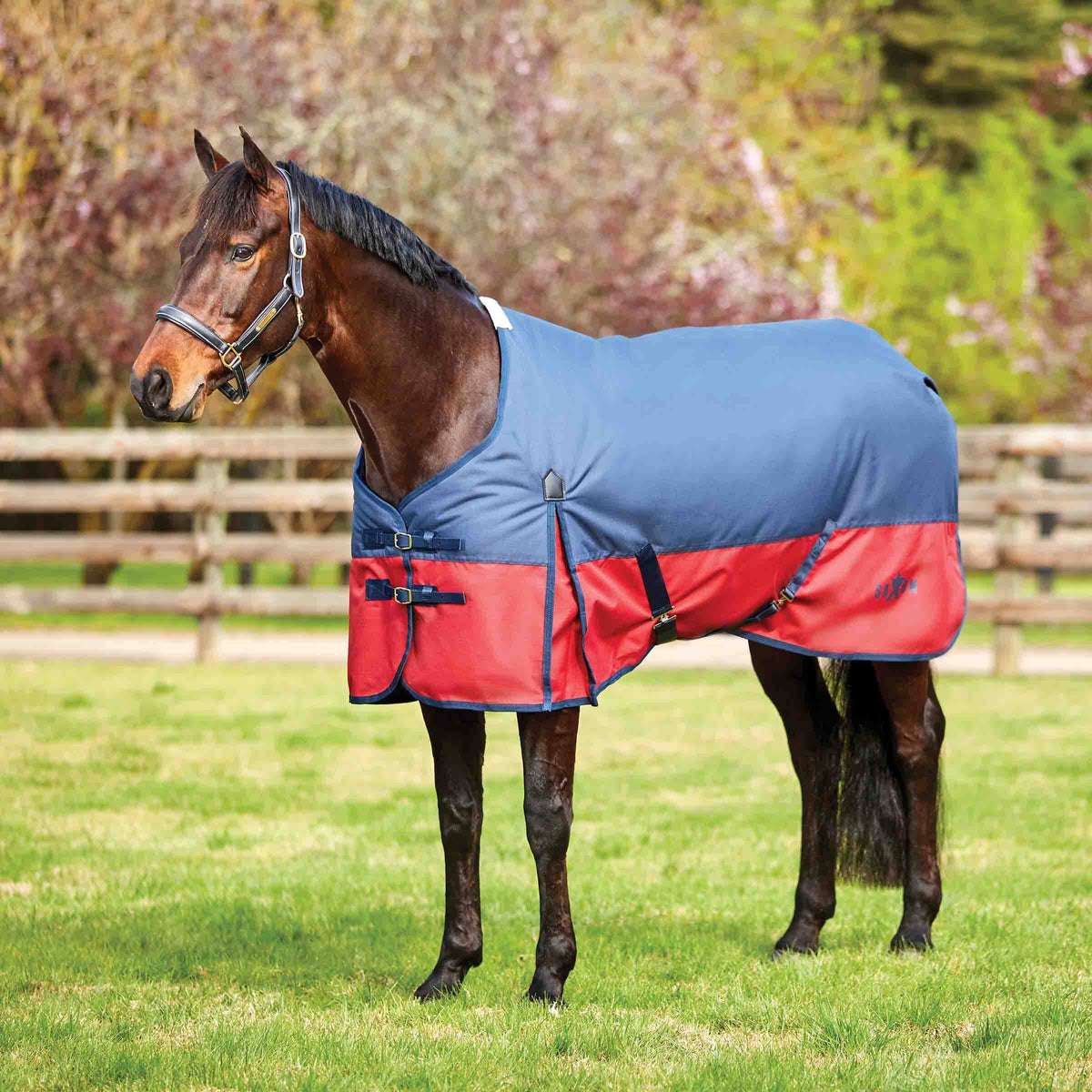 1200D Heavy Neck Navy/Red Q75277