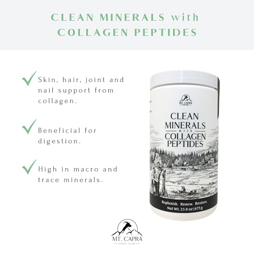 Hot Cocoa Clean Minerals with Collagen Peptides 675 G X1240