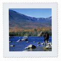 Cow Moose Wildlife Quilt Square 10 by 10-inch V78864