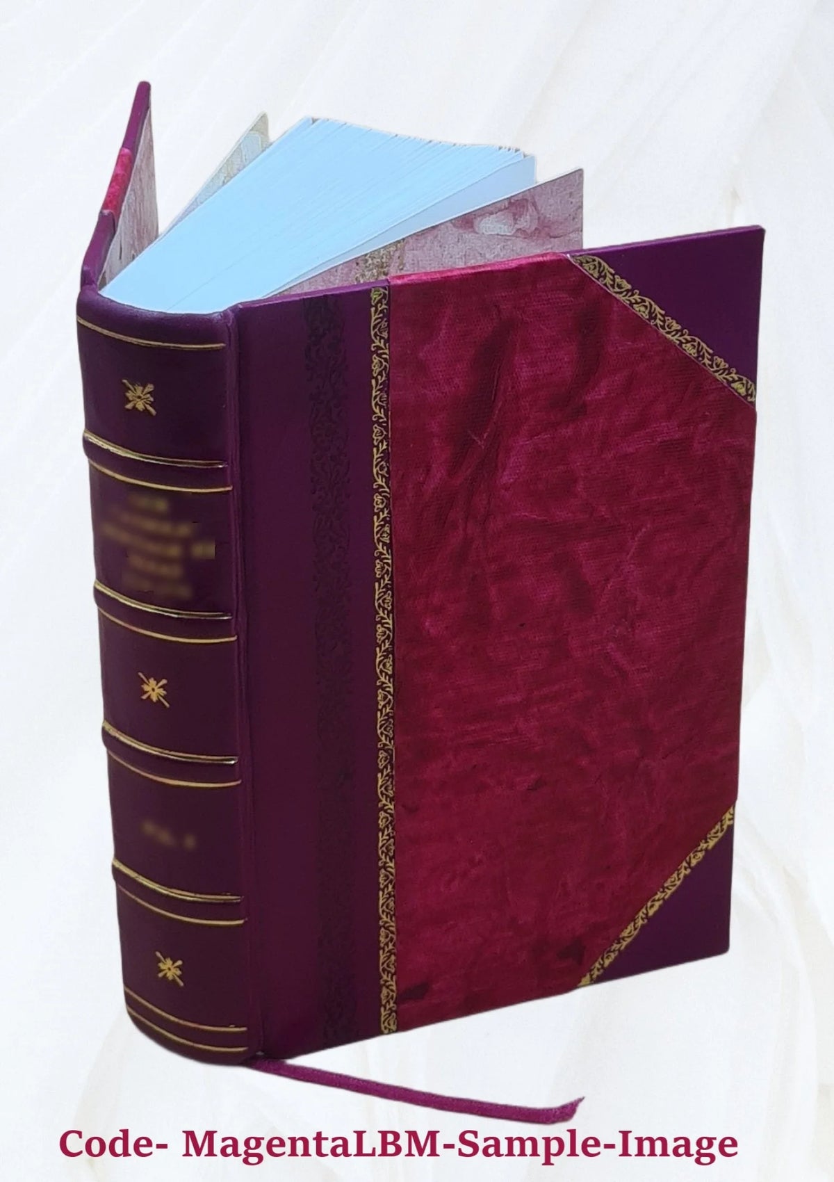Chemistry Dictionary Y376