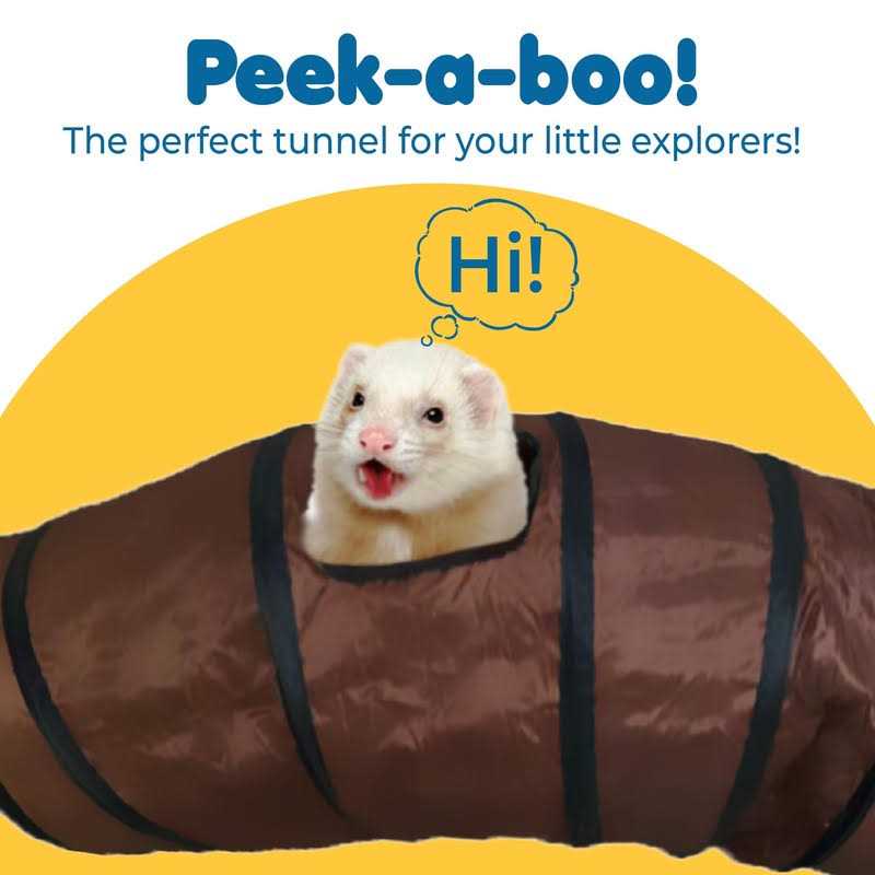 Collapsible Ferret Tunnel with Carrying Case H66368