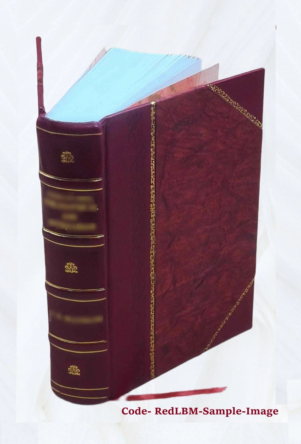 Chemistry Dictionary Y376