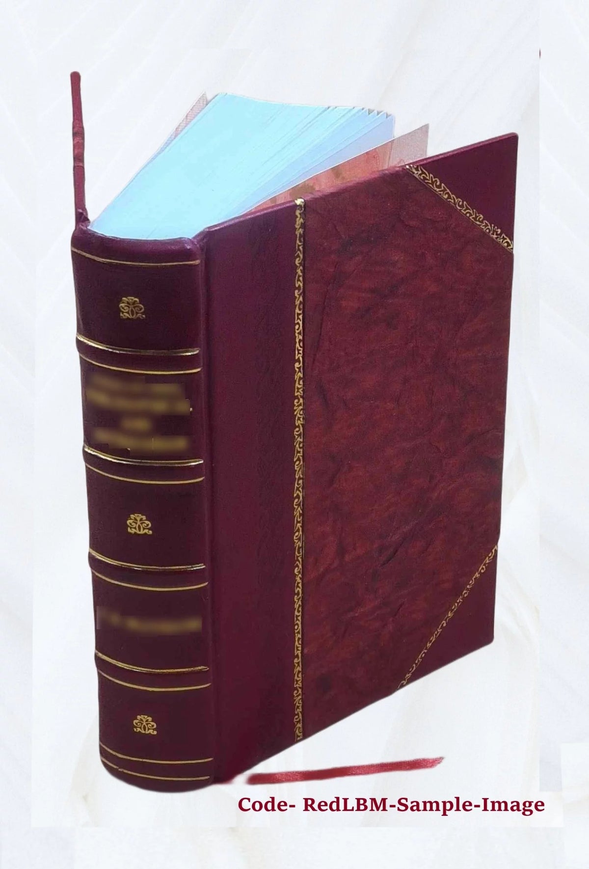 Chemistry Dictionary Y376