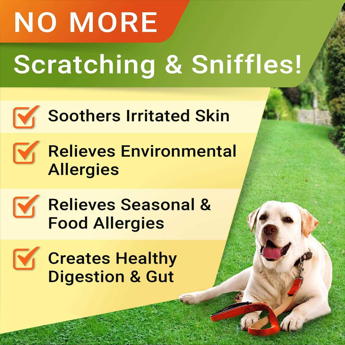 Allergy Relief Immune Chews P894848