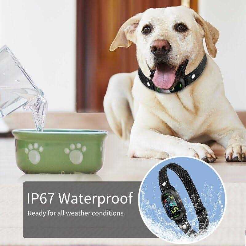 Waterproof Automatic Anti bark Dog Collar J575294