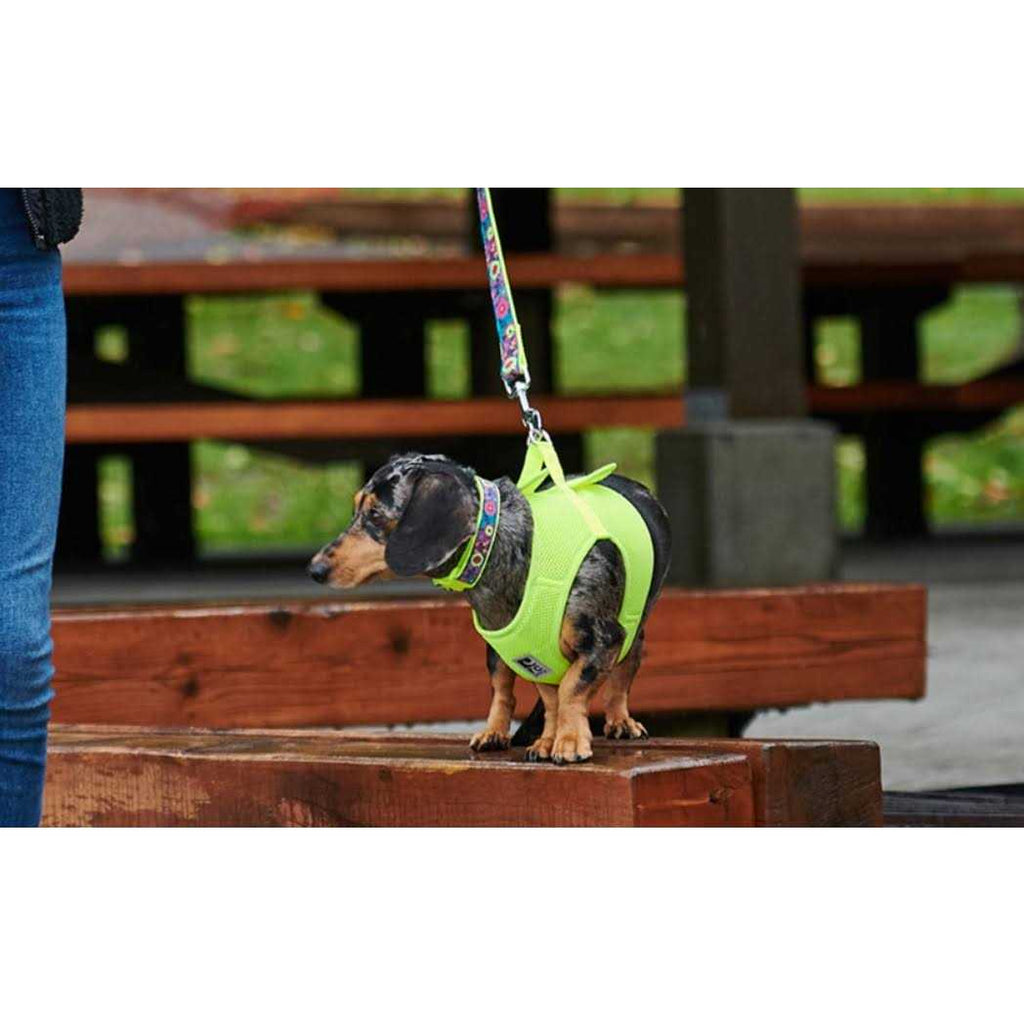 Step in Dog Harness L3037