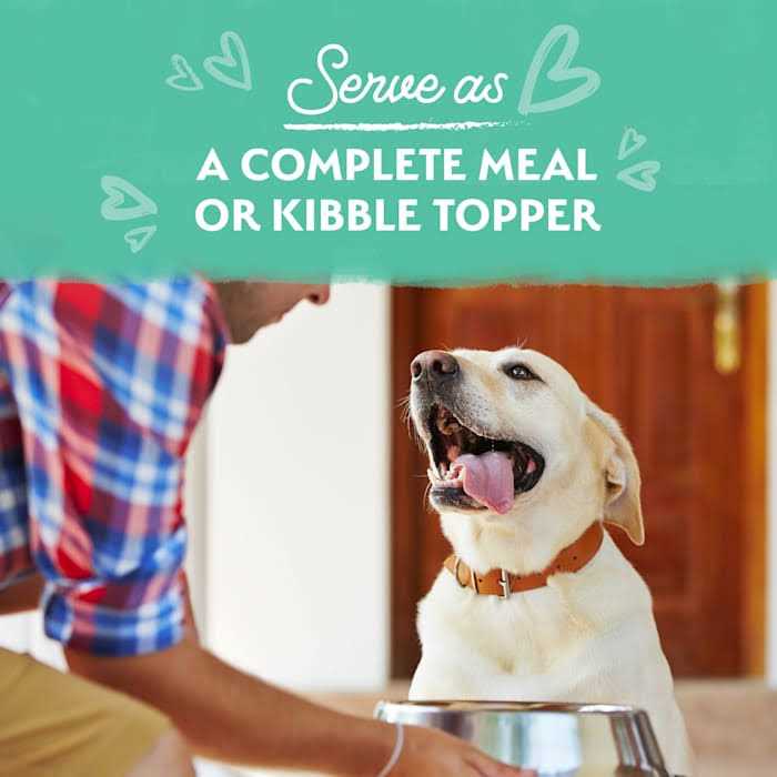 Limited Ingredient Stew Wet Dog Food P752