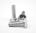 5/8x22-11 x 8x22 (PT) Coarse Thread Carriage Bolt Stainless Steel 316 Pk 40 R176