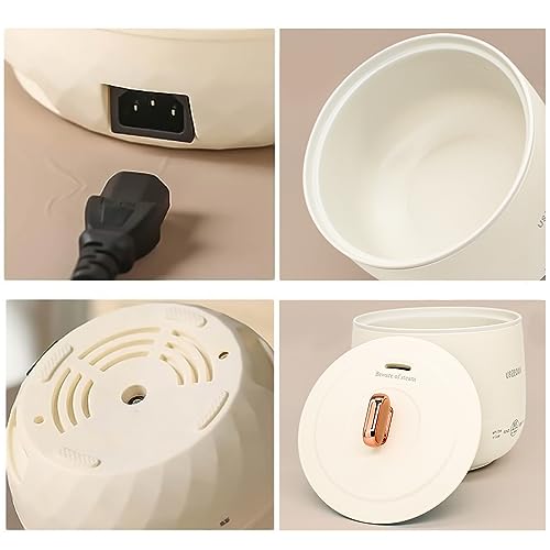 Blue Mini Stainless Steel Rice Cooker Z6573
