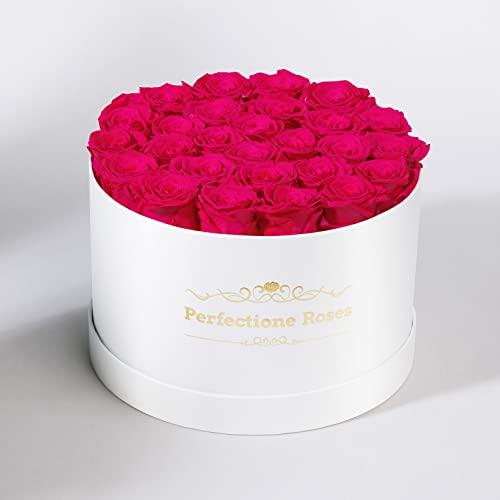 Real Roses in a Box, Preserved Rose (Dusty Rose) W91016