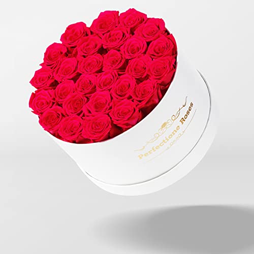 Real Roses in a Box, Preserved Rose (Dusty Rose) W91016