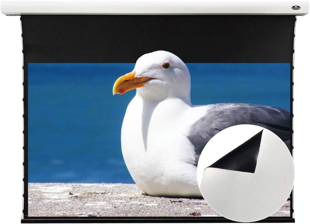 Motorized Tension Projector Screen I75802