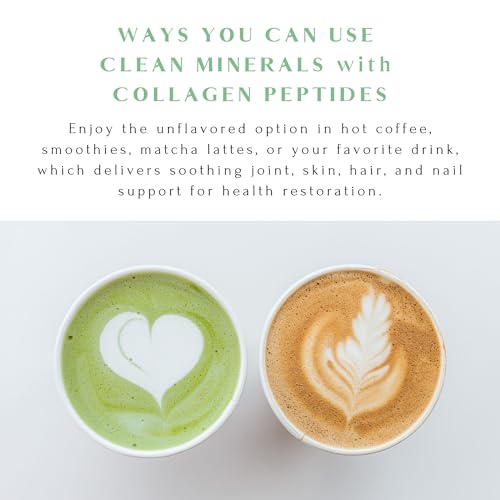 Hot Cocoa Clean Minerals with Collagen Peptides 675 G X1240