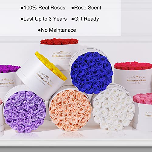 Real Roses in a Box, Preserved Rose (Dusty Rose) W91016