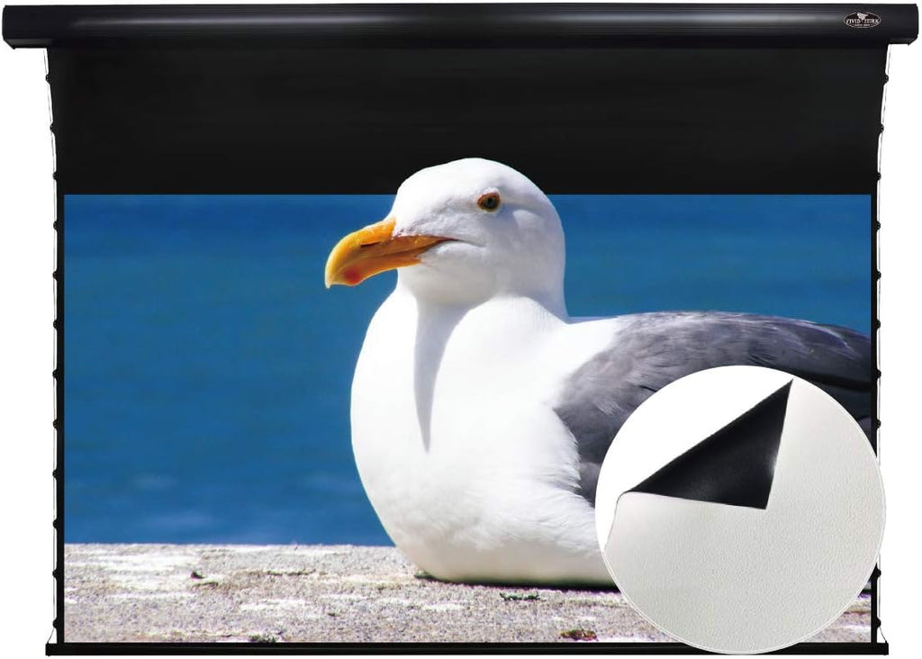 Motorized Tension Projector Screen I75802