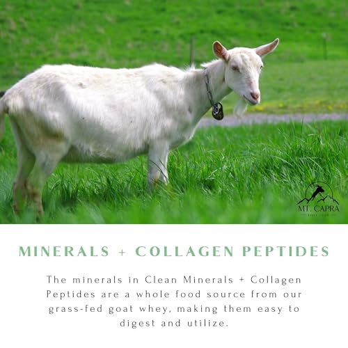 Hot Cocoa Clean Minerals with Collagen Peptides 675 G X1240