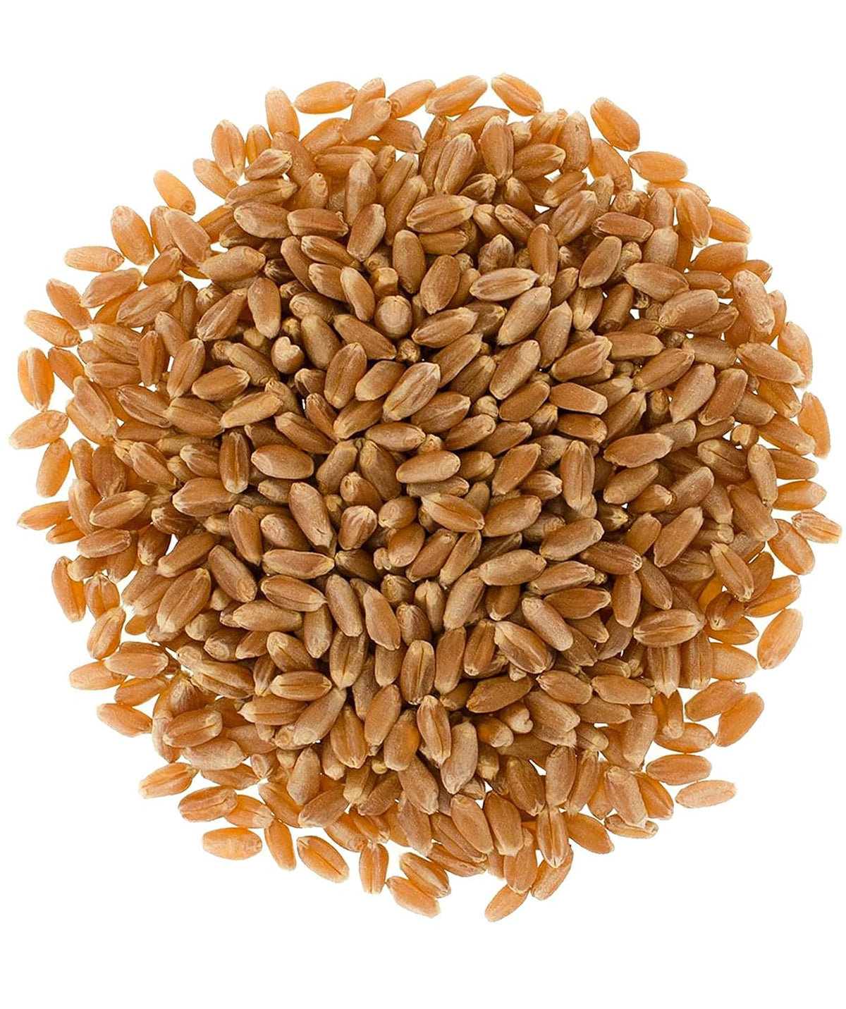 25 LBS Hard Red Winter Wheat Berries in Bucket A9931