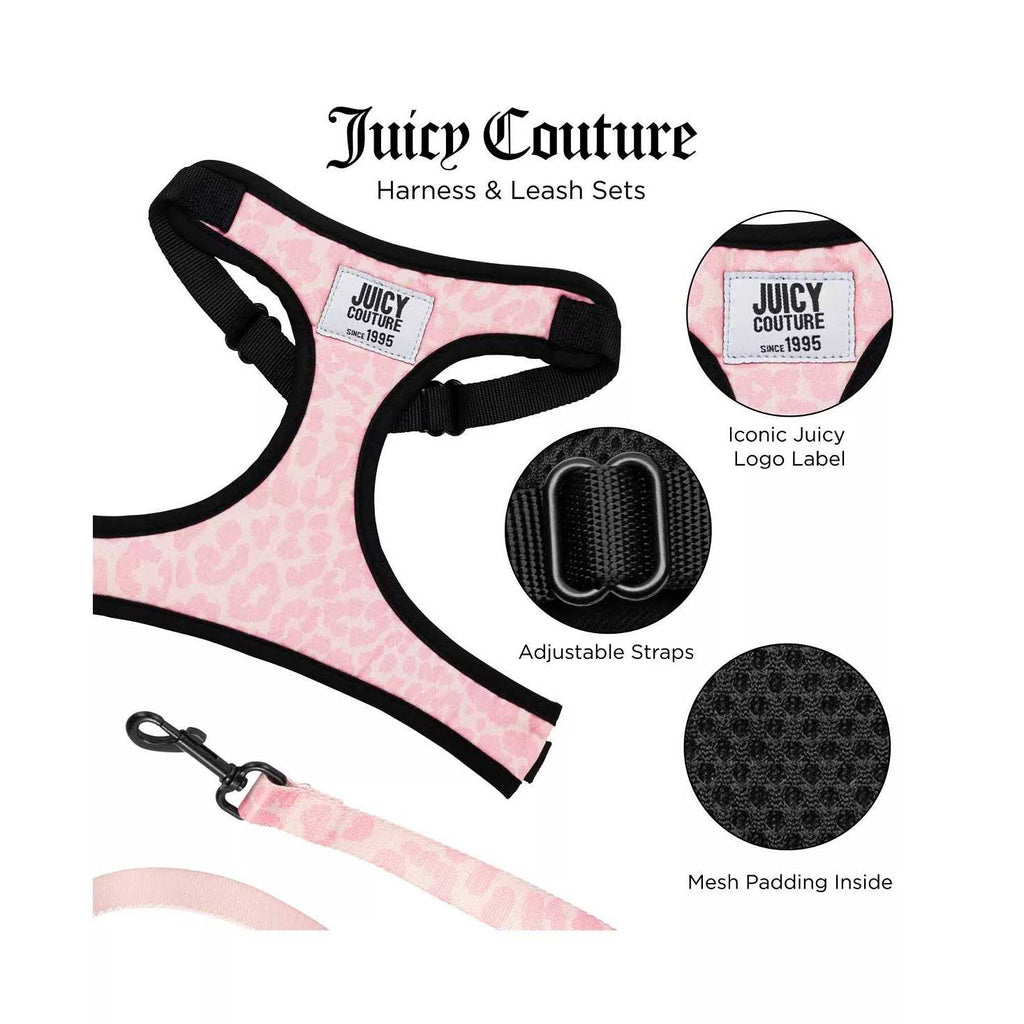 Harness & Leash Set Y461