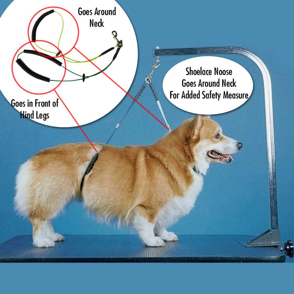 Dog Grooming Arm with Clamp and Grooming Loop Y126