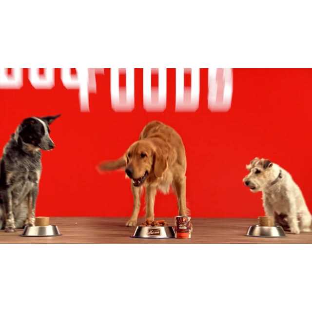 Grain Free Real Beef Canned Dog Food K464156