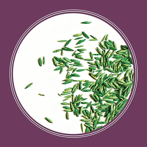 Tall Fescue Grass Seed Mix 20 lb Y76092
