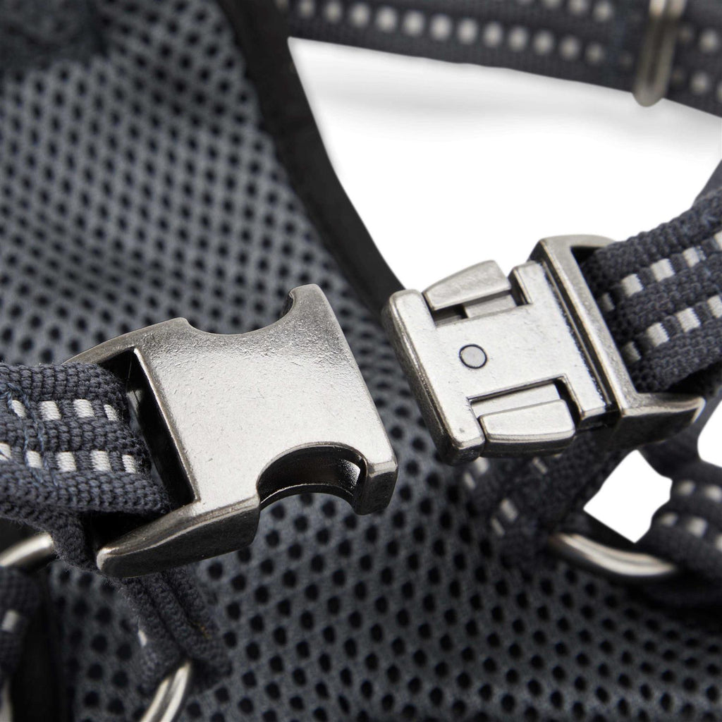 Small Dog Harness Y15753