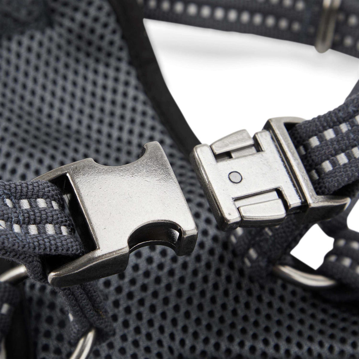 Small Dog Harness Y15753