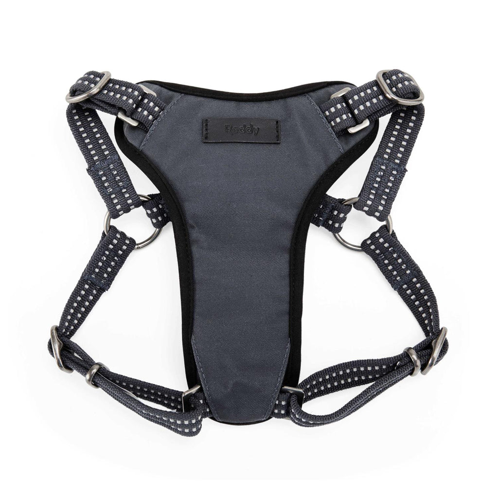 Small Dog Harness Y15753