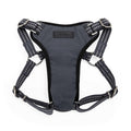Small Dog Harness Y15753
