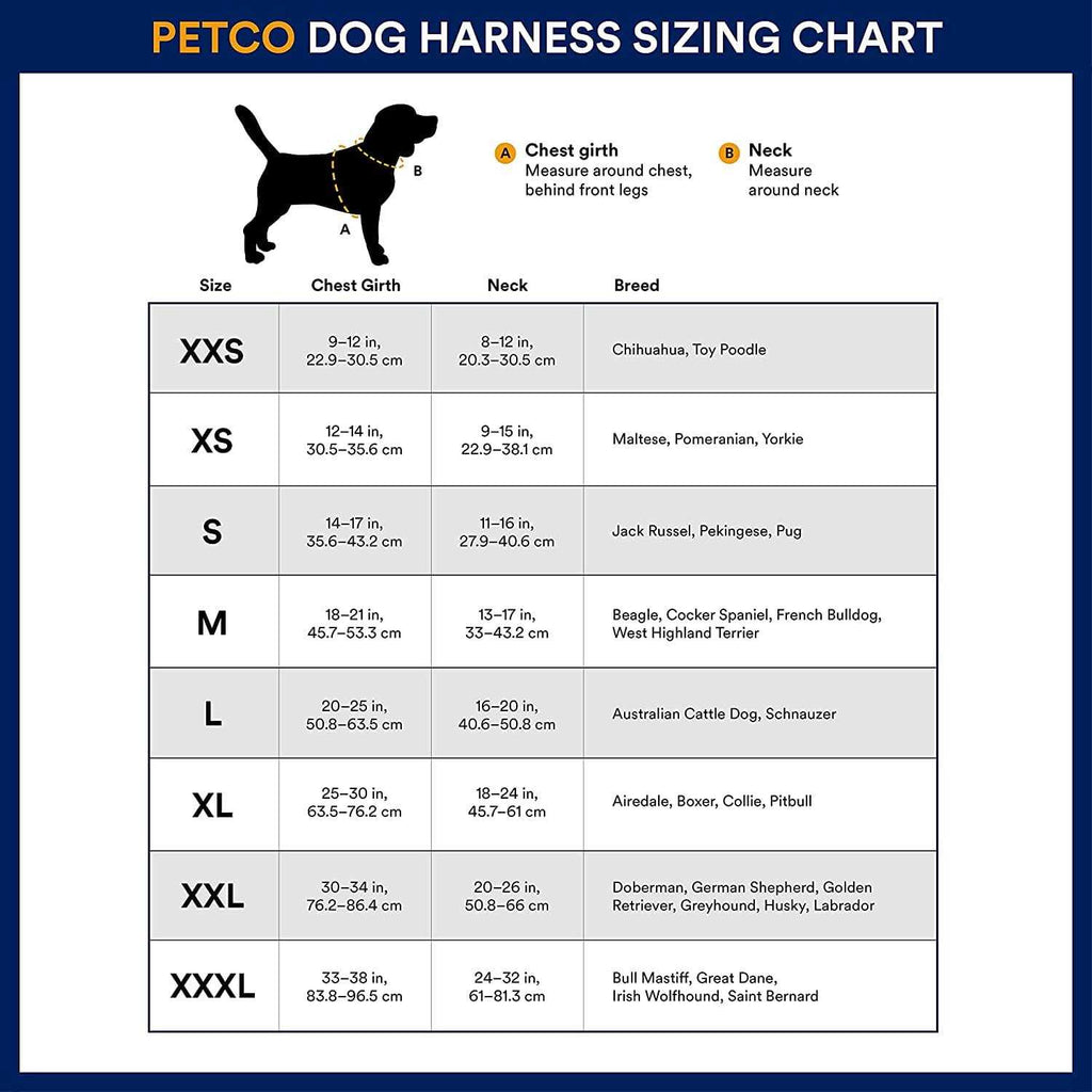 Small Dog Harness Y15753