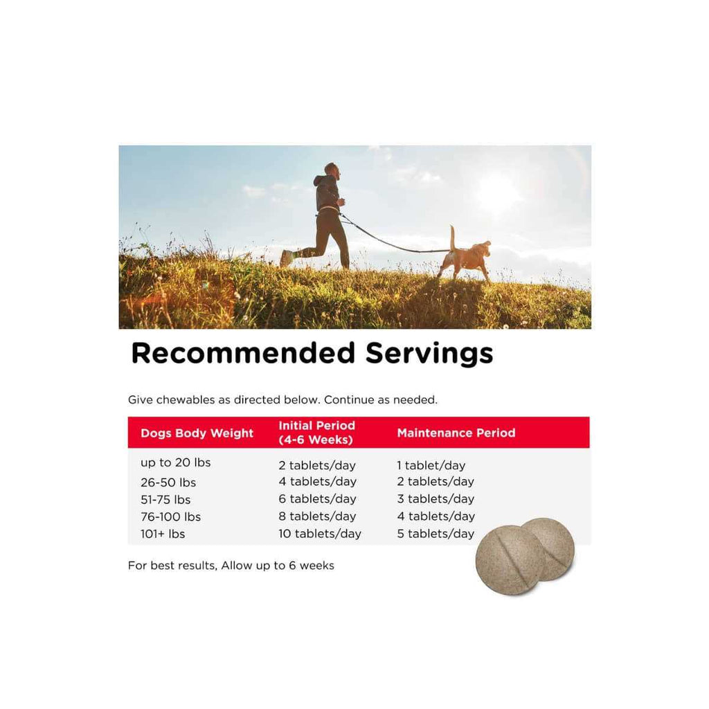 Joint Action Formula for Dogs L1776