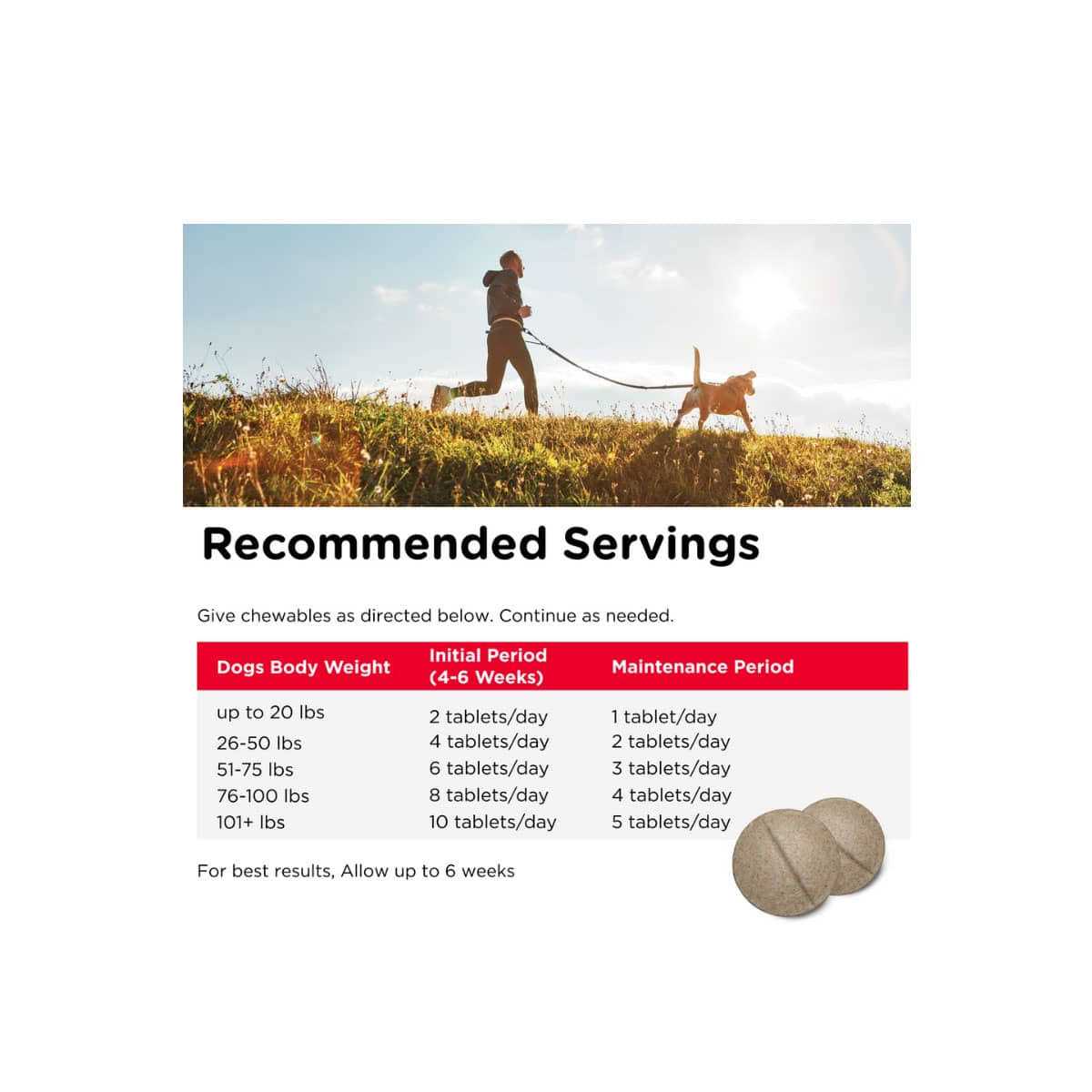 Joint Action Formula for Dogs L1776