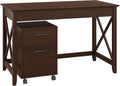 54W Computer Desk with Storage and 2 Drawer Mobile File Cabinet in Washed Gray P76216