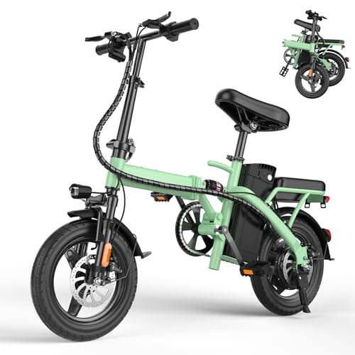 Folding Electric Bike 500W Motor 48V 13Ah Removable Battery Z937