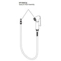 Chrome Spray and Hose Assembly X33362