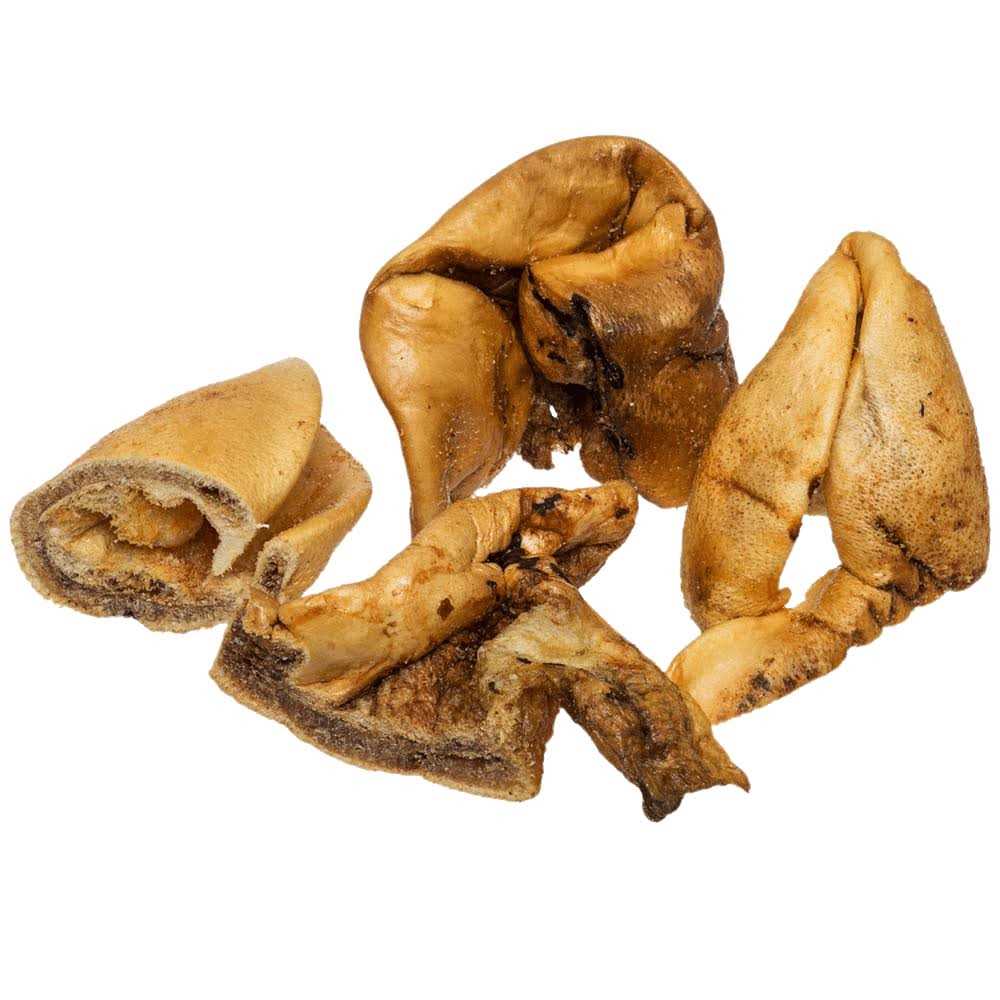 Dog Treats T73225