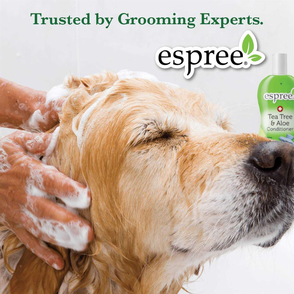 Puppy Shampoo R261585