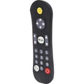 Latex Squeaky Dog Toy M52132
