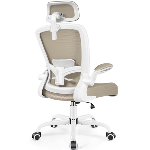 Black Ergonomic Office Chair with Lumbar Support B572