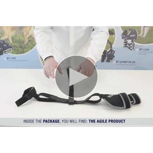 Soft Dog Knee Support B994870