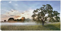 Canvas Art 40x21 S362532