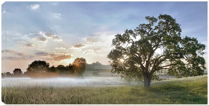 Canvas Art 40x21 S362532