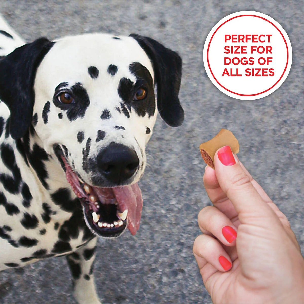 Small Bacon Flavor Dog Biscuit Treats, 40 oz. Z70873
