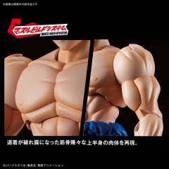 1/7 PVC Figure W254