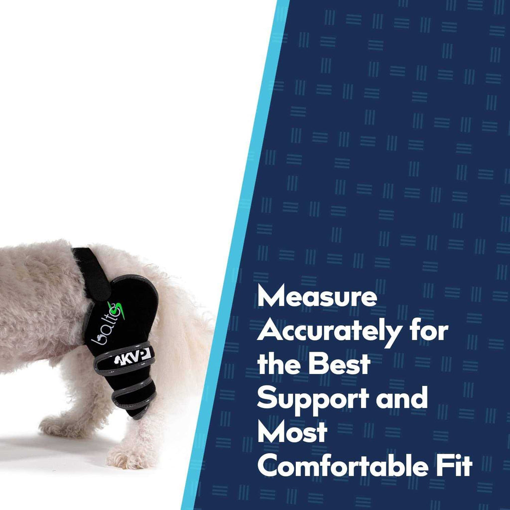 Soft Dog Knee Support B994870