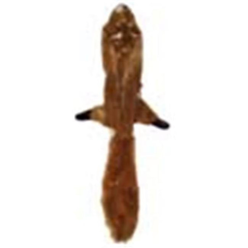 Stuffing Free Plush Squirrel Dog Toy, 13" N209858