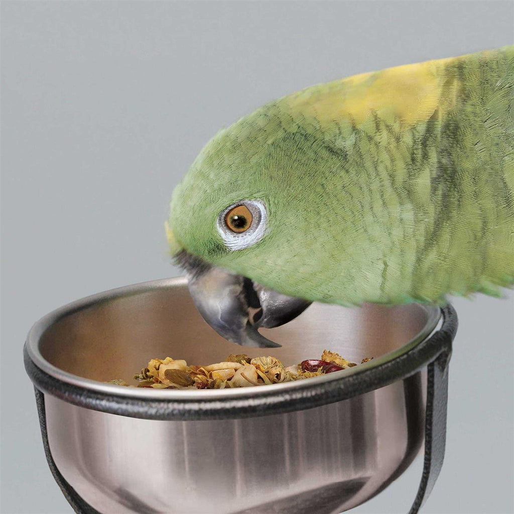 Bird Stand R21085